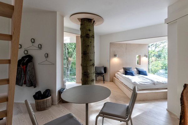 Біля данського фйорду збудували готельчик навколо живих дерев, піднятий на вісім метрів над землею (ФОТО)