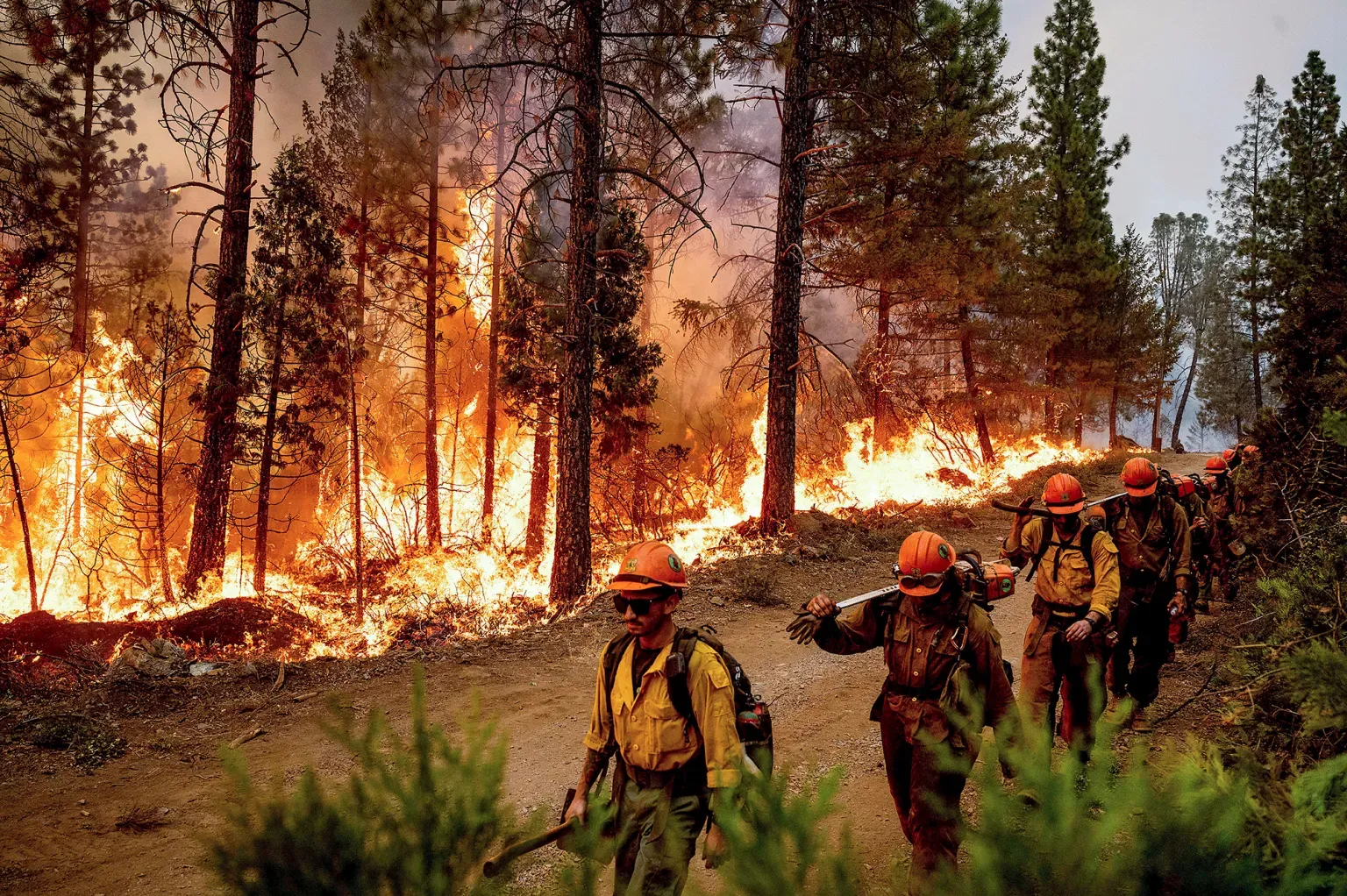 Лісові пожежі в Каліфорнії. . Фото: Noah Berger, AP