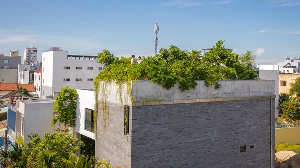 Просте покращення будинку й околиці: фруктові дерева на даху (ФОТО)