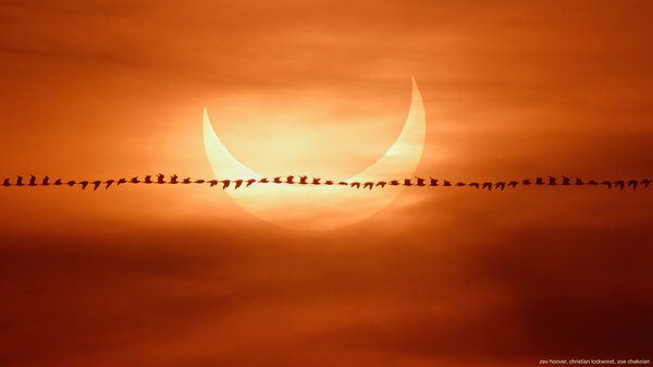 Астрономічна фотосерія дня: пролітаючи повз сонячне затемнення