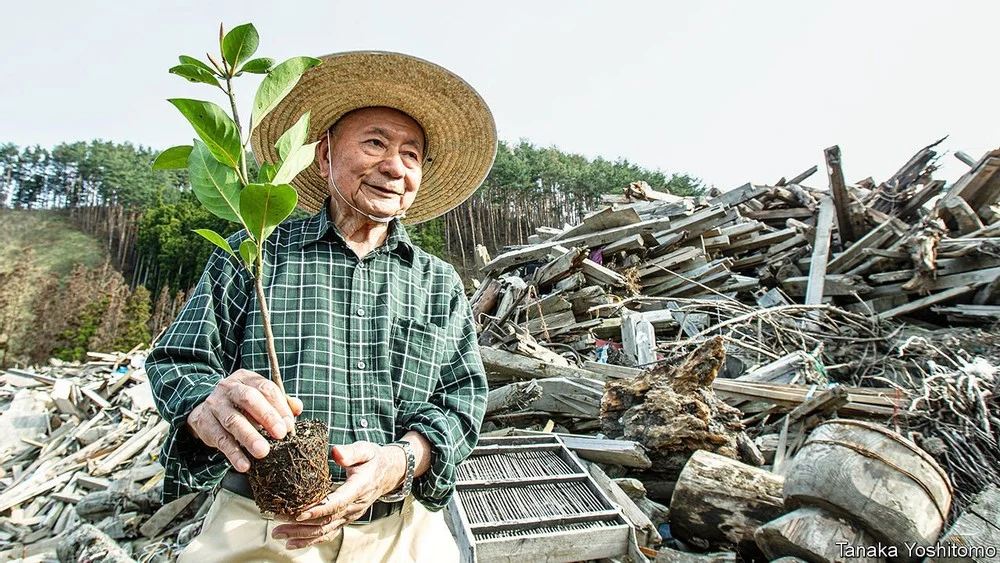 Знаменитий японський еколог – доктор Акіра Міявакі
