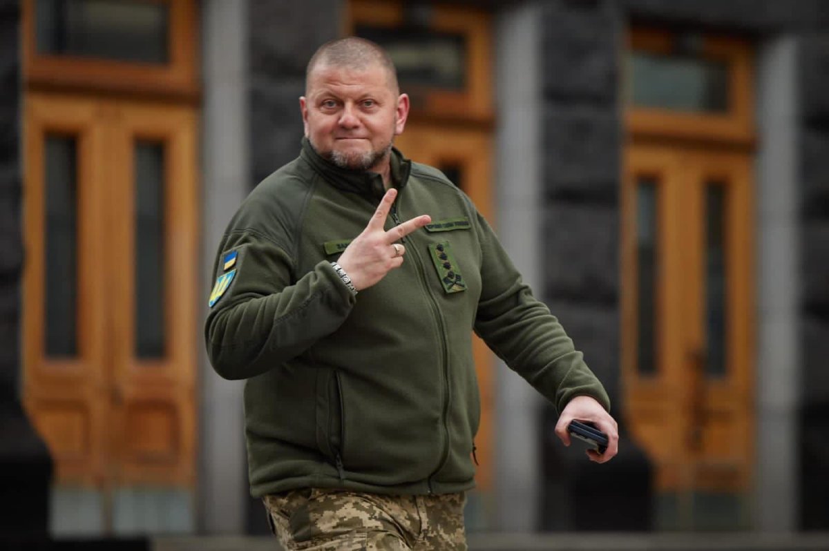 Колишній головнокомандувач ЗСУ Валерій Залужний у куртці й штанах бренда M-TAC