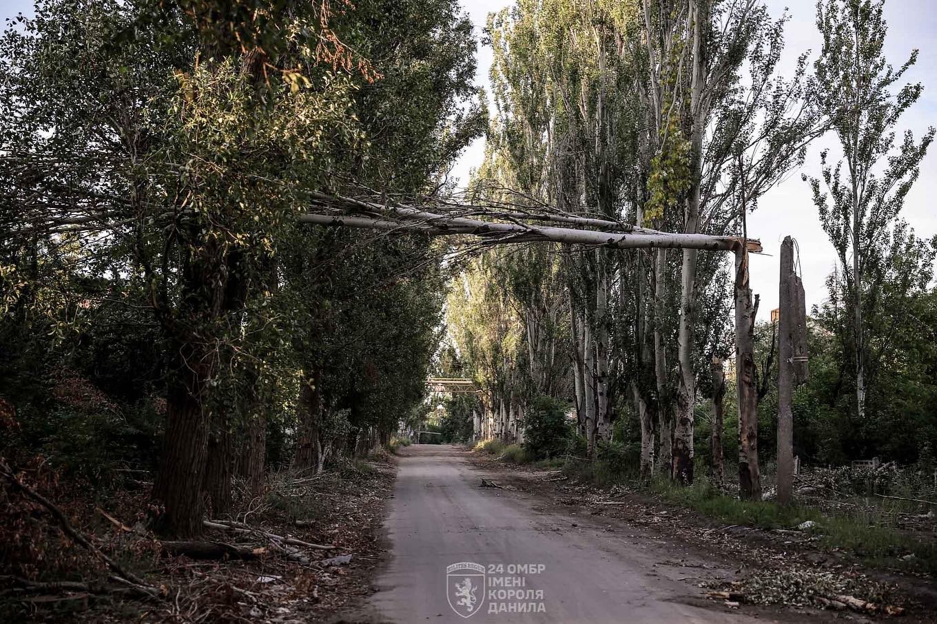 Росіяни безперервно штурмують Часів Яр фото війни, оборона сходу, часів яр, тактика випаленої землі