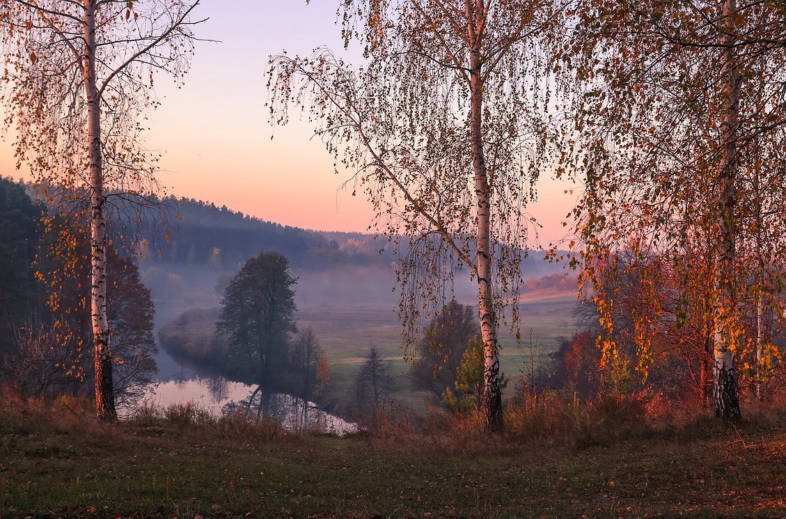 Ліси