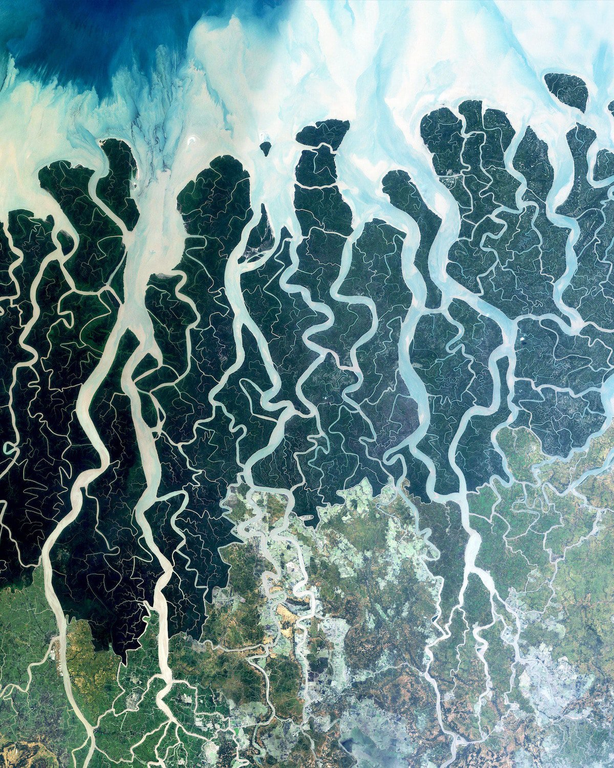 Мангрові лісі Сундарбан у Бангладеш: фото NASA