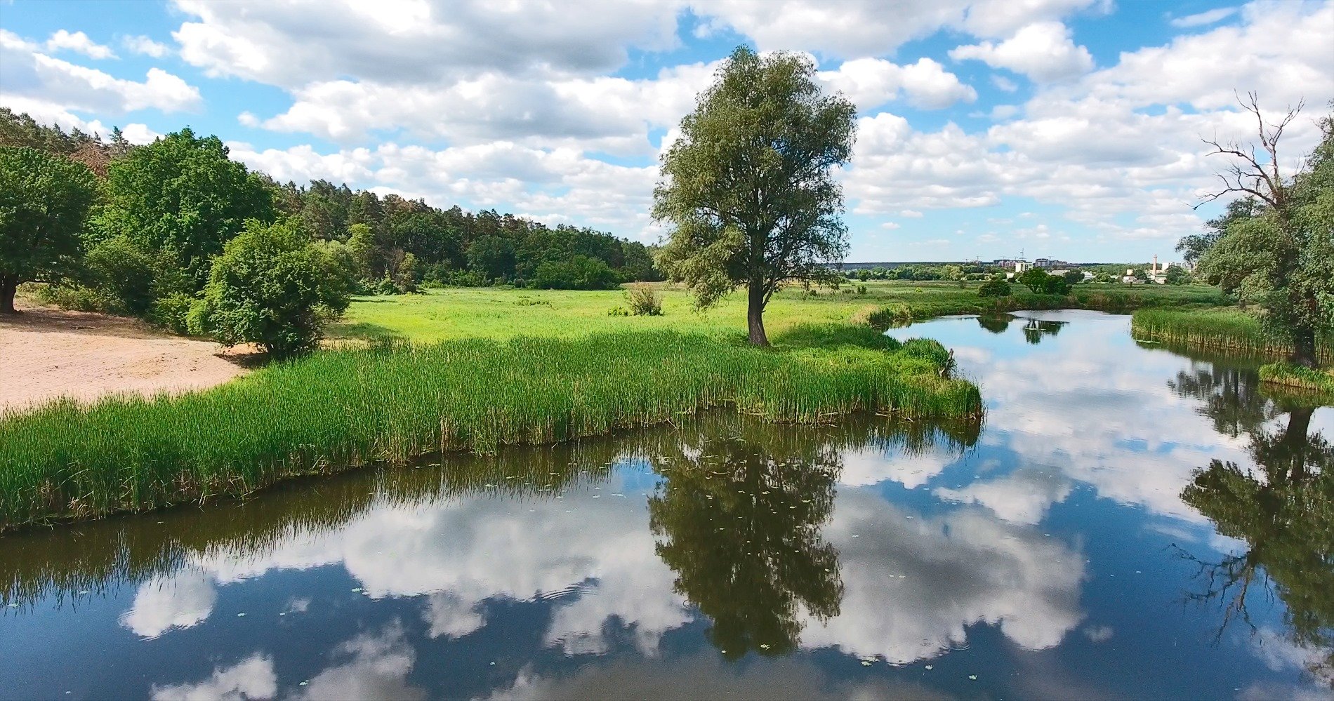 Заплава річки Ірпінь. Фото: агенція «Погляд»