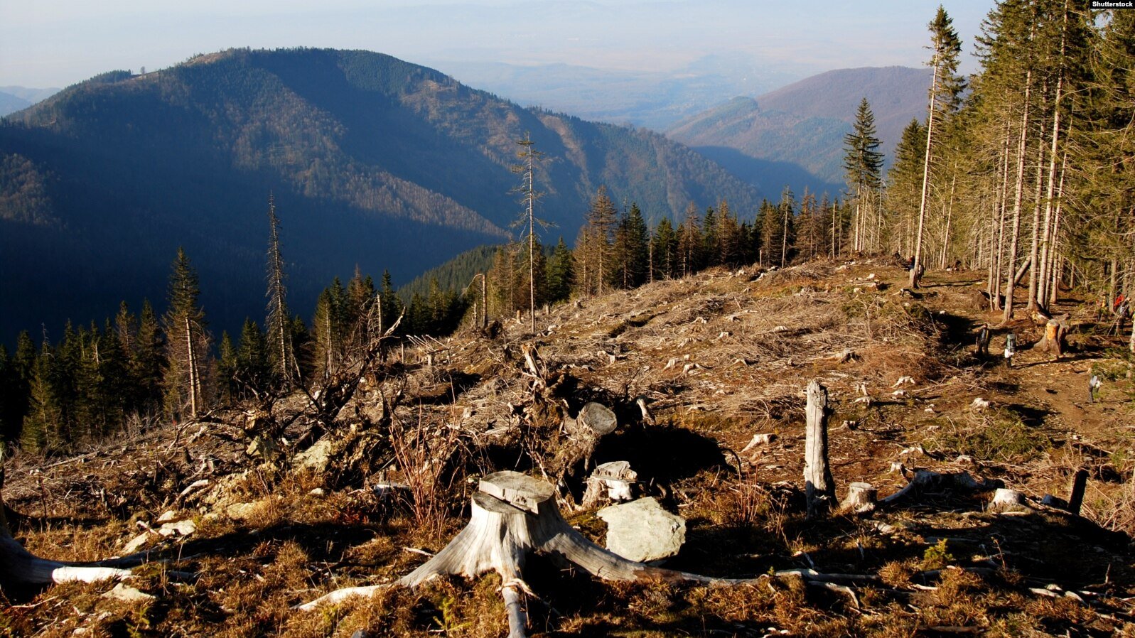 Фото: Радіо Свобода