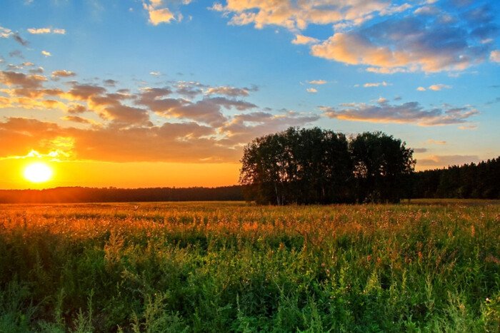 Фото ілюстративне, з відкритих джерел