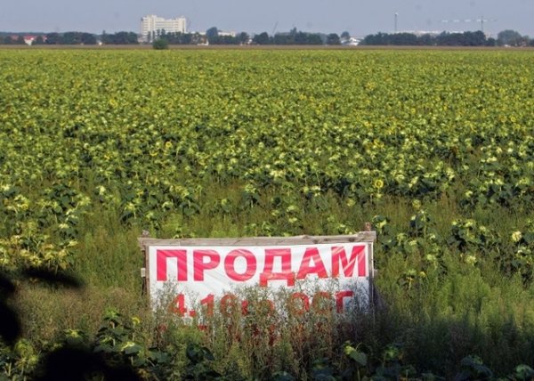 Український парадокс: раніше продажу не було, але землю продавали