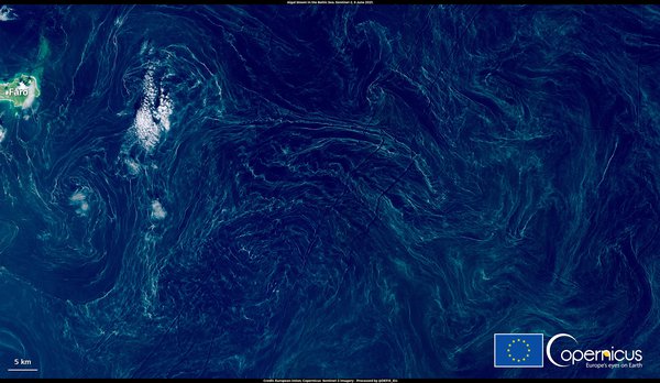 Супутникове фото дня: аномальне цвітіння Балтійського моря