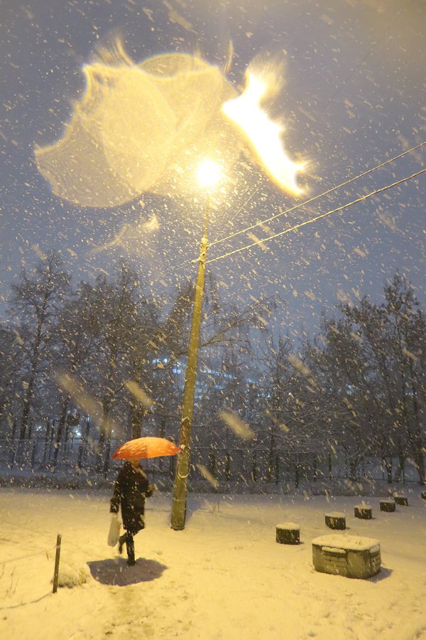 Як вечірній Київ завалювало снігом (ФОТО)