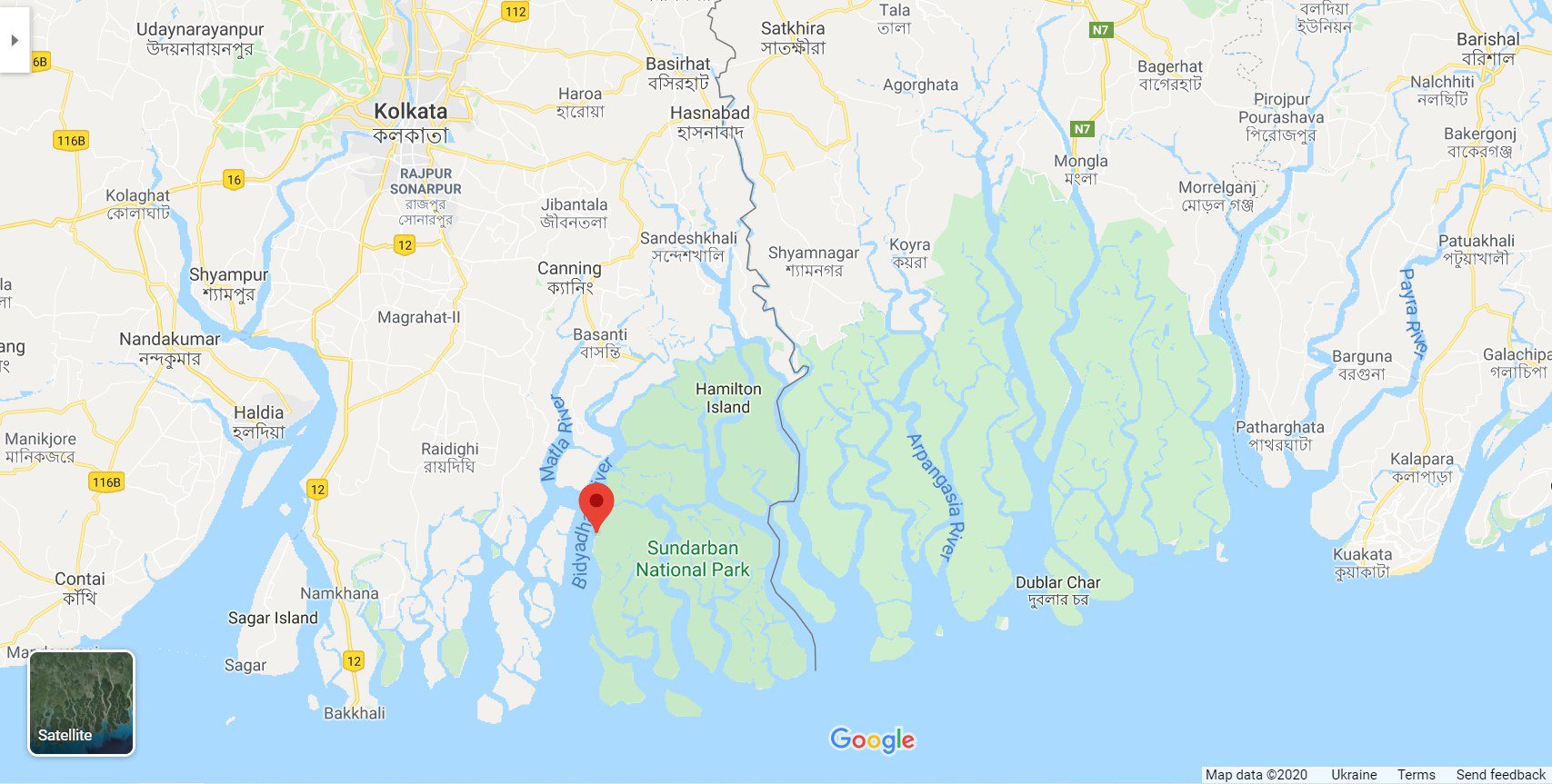 Уся зелена зона на карті — мангрова екосистема. Ліворуч угорі — Калькутта: Google Maps