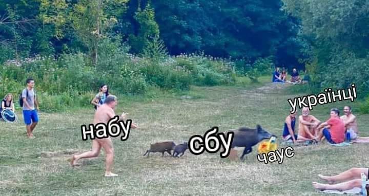 чаус кабан.jpg