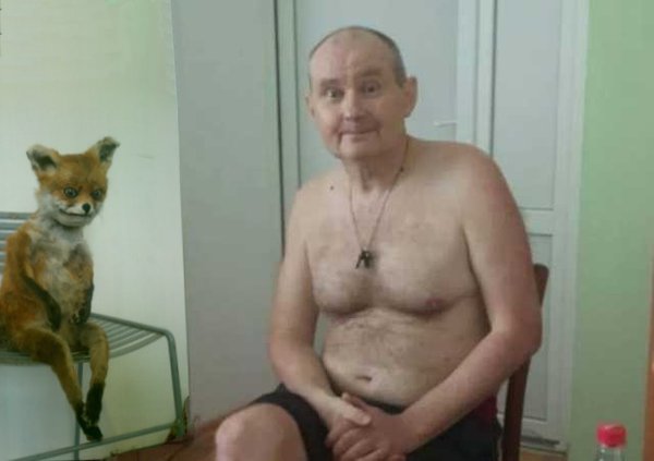 чаус лис.jpg