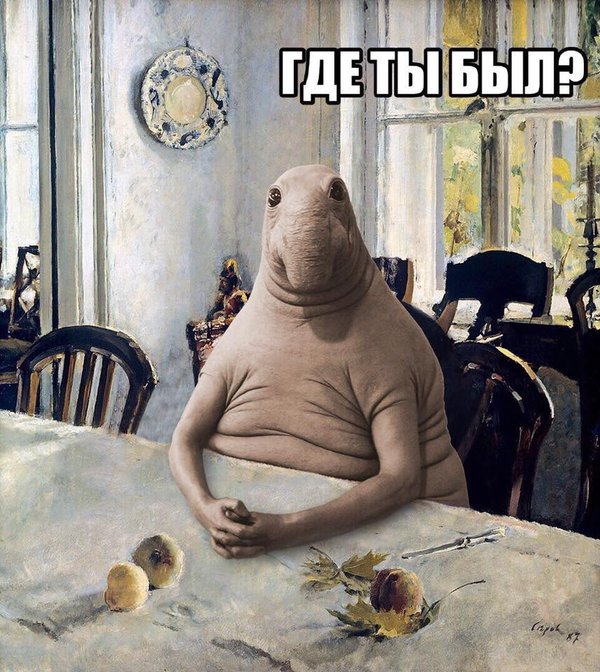 чаус ждун.jpg