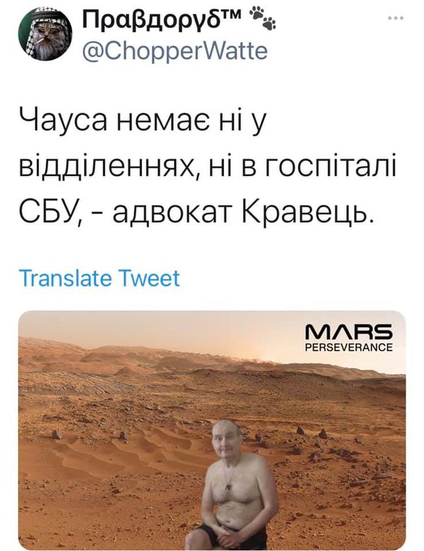 чауса нема.jpg