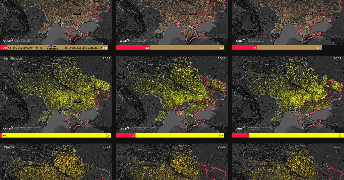 Harvest from the occupied territories. How much Russia earns from the Ukrainian land