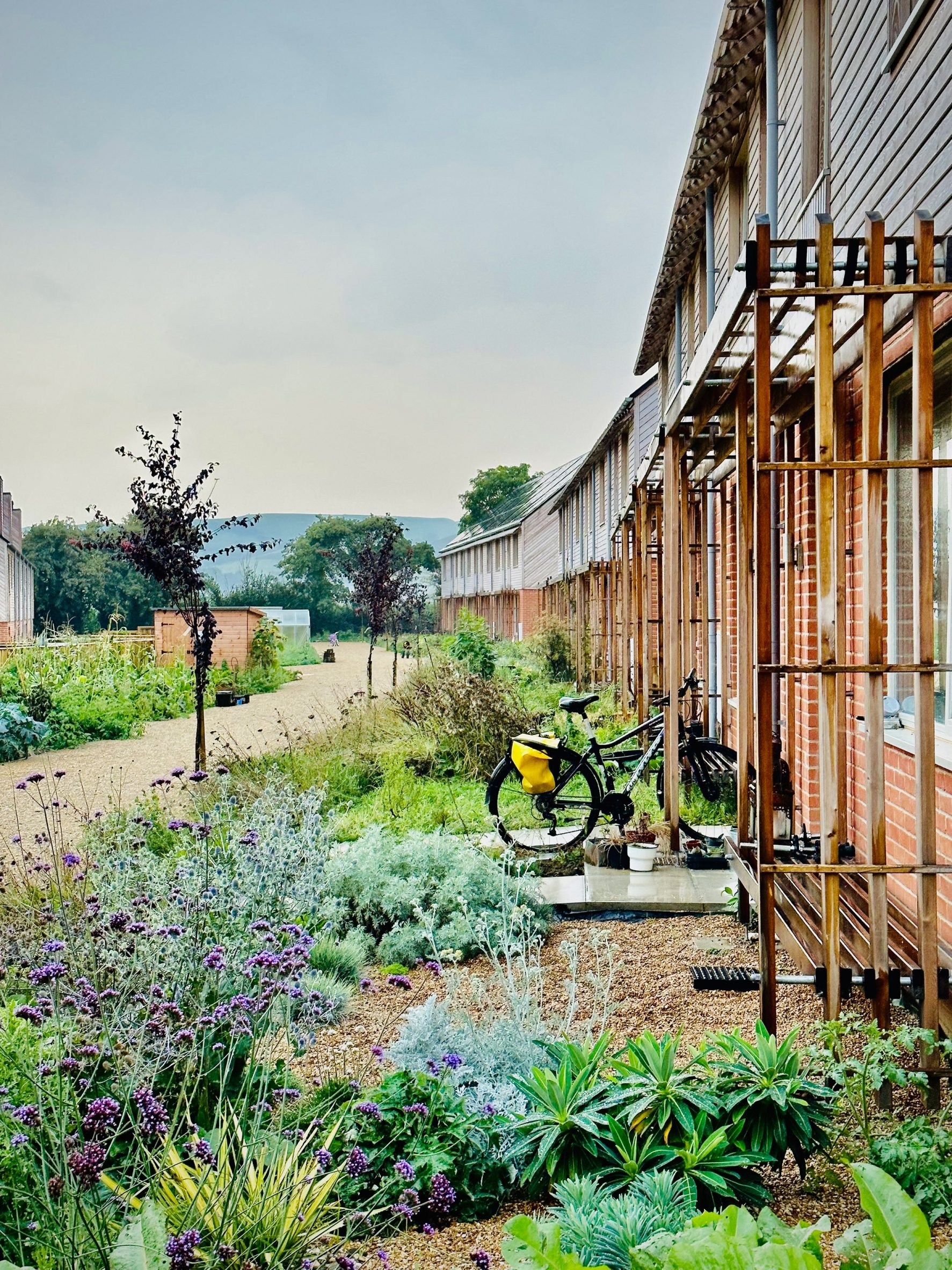hazelmead-barefoot-architects-bridgeport