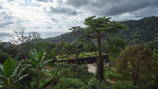Ескапізм дня: дім у джунглях іще й вкрили зверху рослинністю (ФОТО)