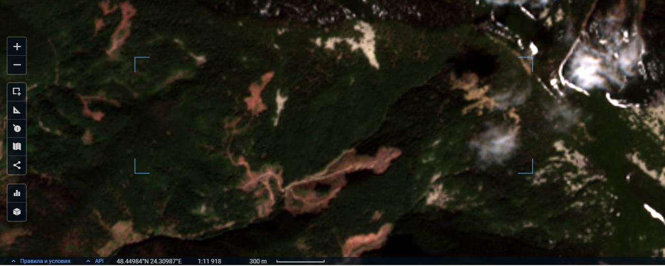 Поступові лісовідновні рубки високогірного лісу віком старше 150 років у Надвірнянському лісгоспі