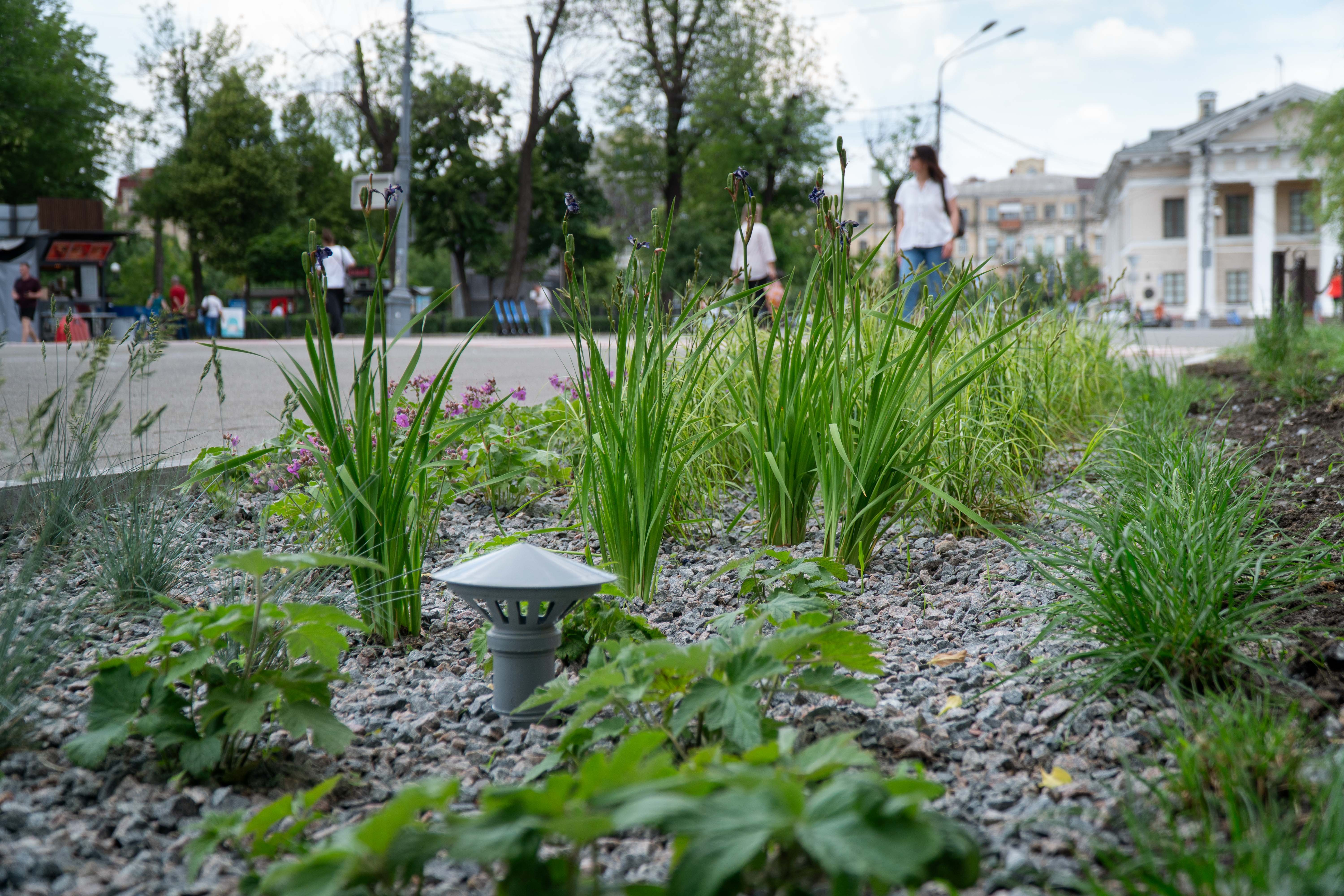 Перші дощові садки у Києві
