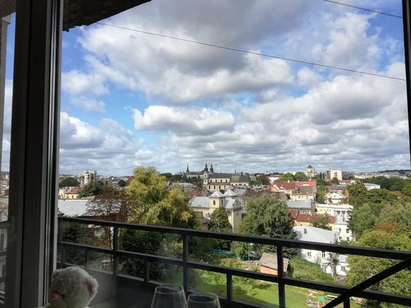 Рік у місті. Як змінюється краєвид з одного вікна у Львові (ФОТО)