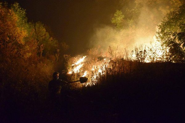 Пожежа на Луганщині виникла через обстріл трасуючими кулями з боку окупантів – ООС