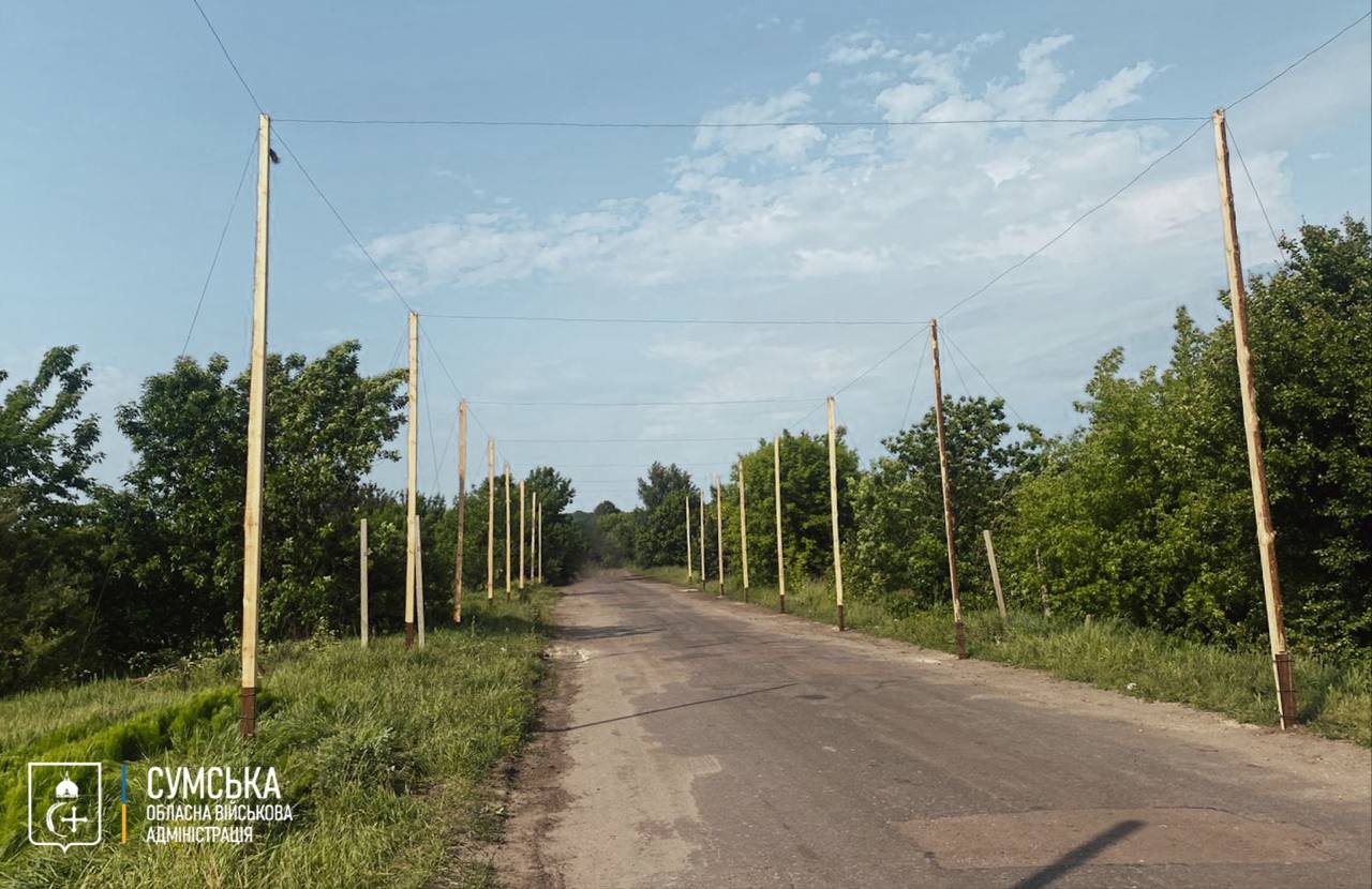 Сітки