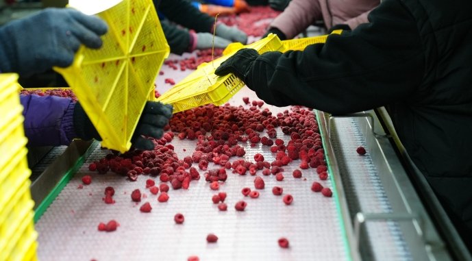 Фото: AgroPortal